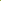 Gooseberry Standard Plant 'Hinnonmaki Green'