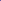 Anemone blanda Blue
