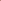 Rose Flower Carpet Pink (Ground Cover Rose) Plants