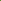 Dill Plant