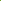 Green Fennel Plant