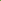 'Waverex' Petit Pois Pea Plant