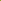 Golden Elder Hedging | Sambucus nigra 'Aurea'