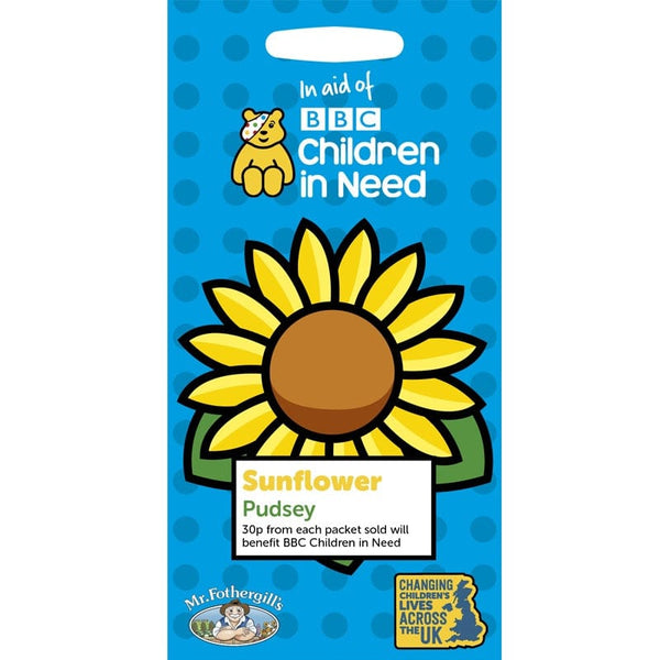 Children in Need Sunflower Pudsey