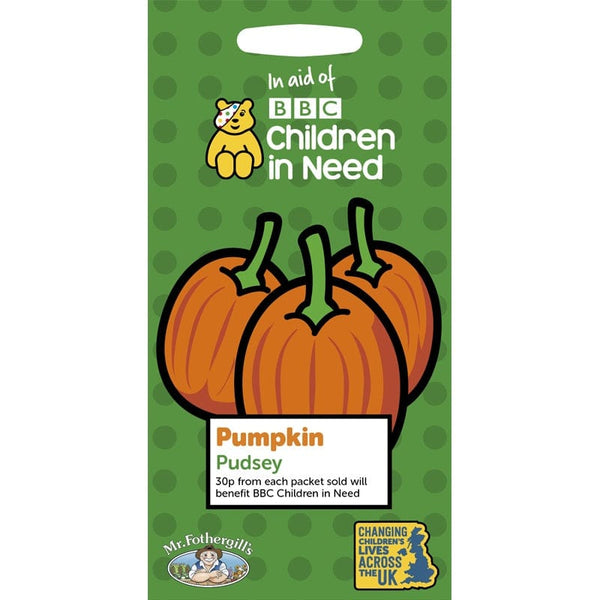 Children in Need Pumpkin Pudsey Seeds
