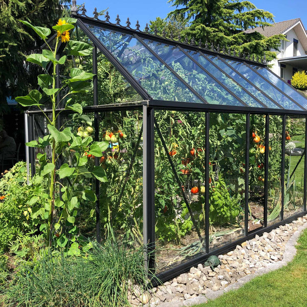 Greenhouse Grower’s Vegetable Collection