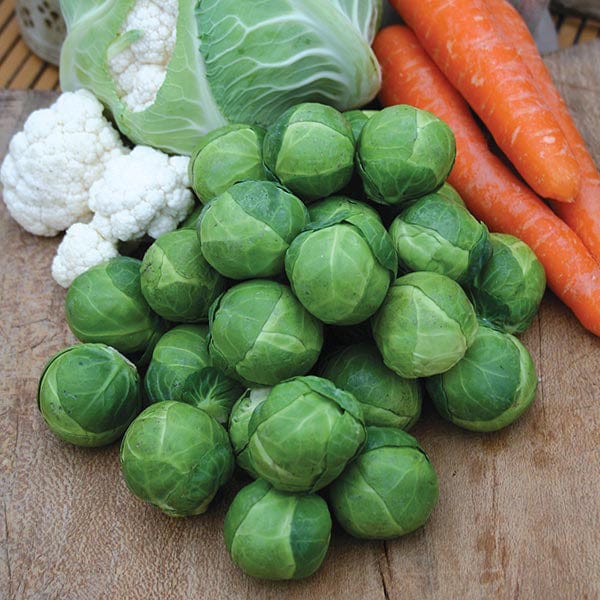 David Domoney, Get Growing Brussels Sprouts