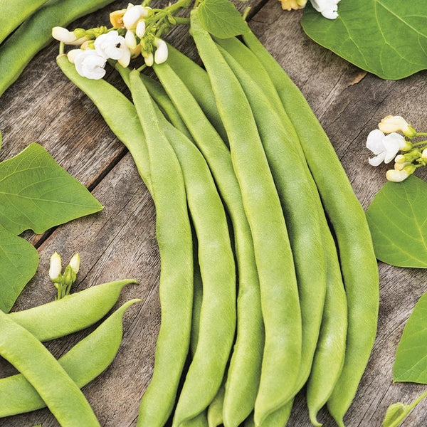RHS Runner Bean Stardust Seeds