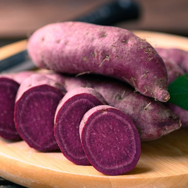 'Erato Violet' Sweet Potato Plant