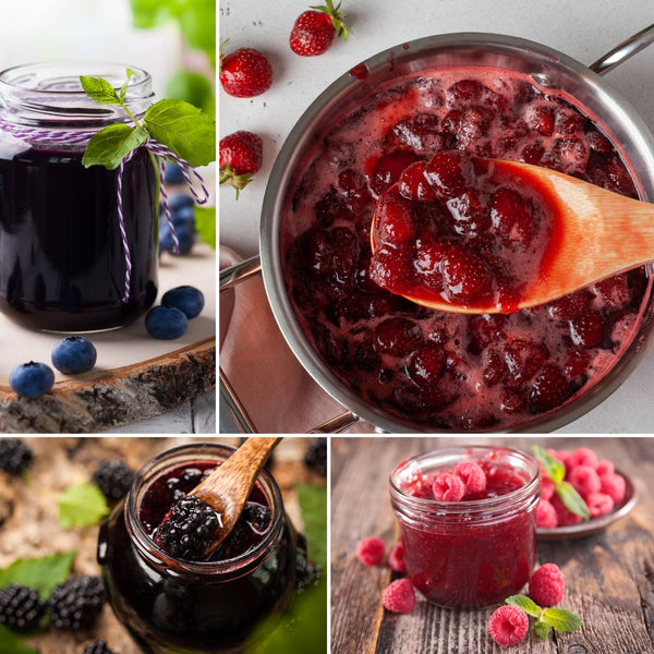 Jam Maker's Fruit Plants Collection | Allotment in a Box