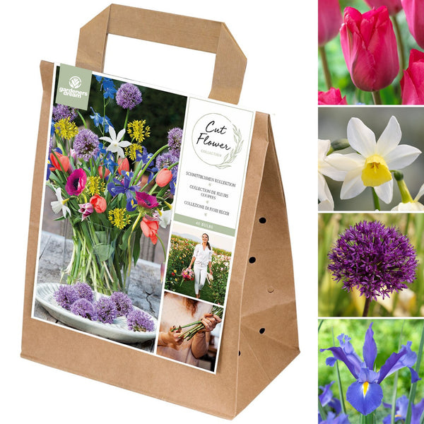 Spring Bulbs Mix - Cut Flowers