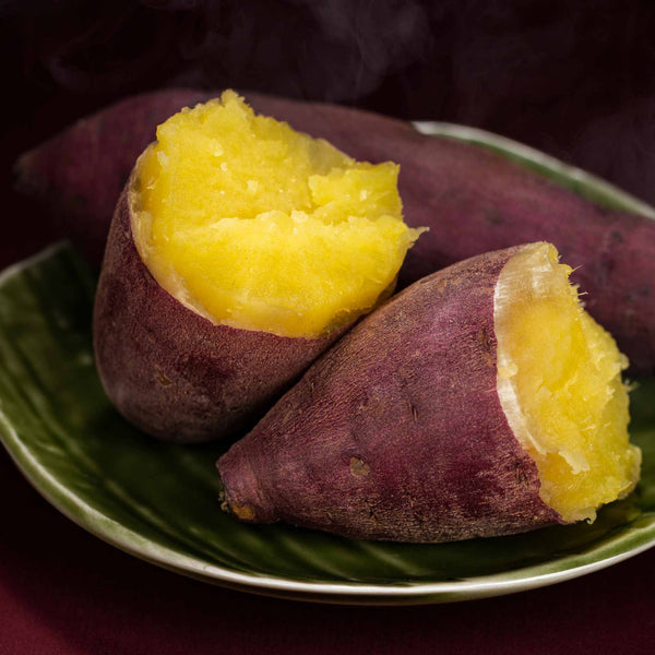 'Erato White' Sweet Potato Plant