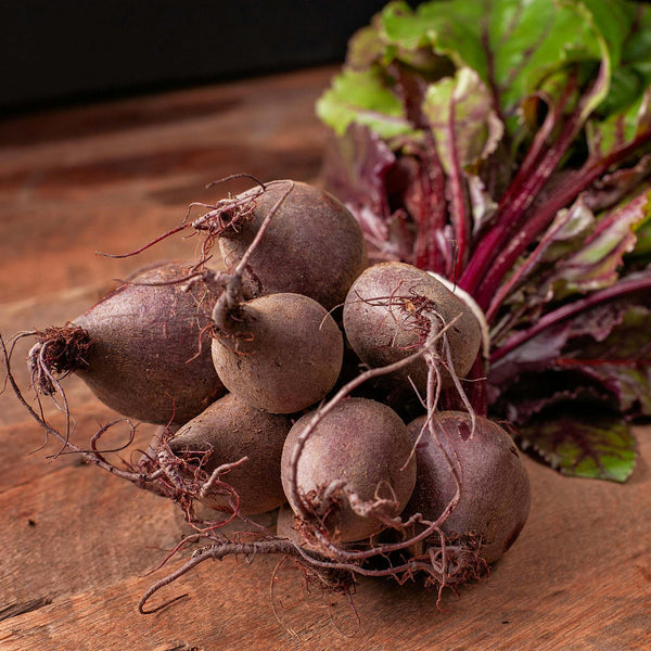 Beetroot Plants