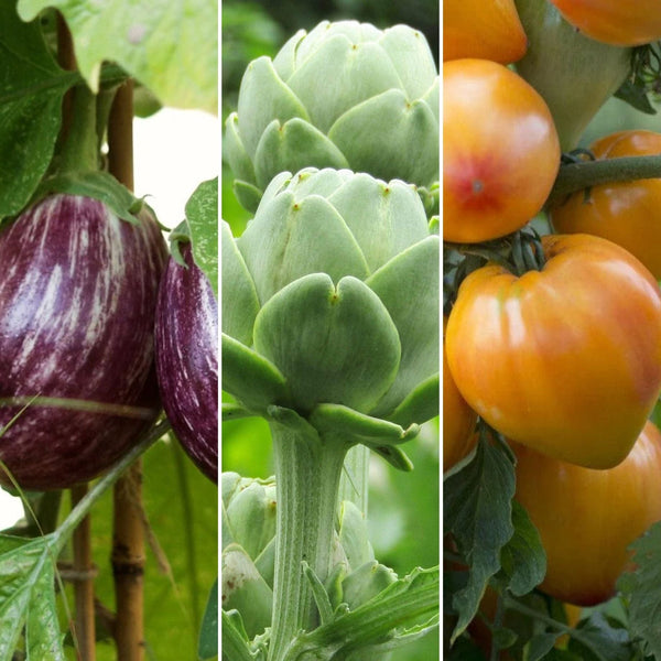 Gourmet Vegetables Collection