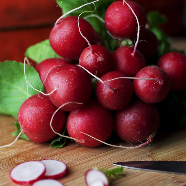 'Cherry Belle' Radish Plants